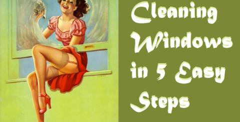 Window cleaning tips