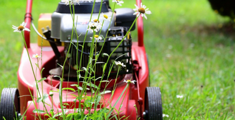 lawn-mower