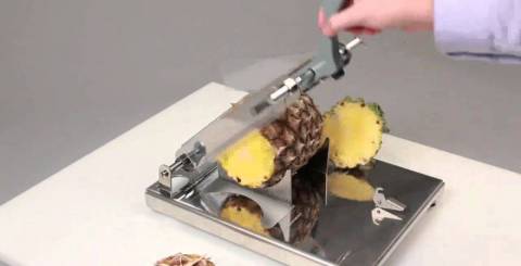 Pine Apple Peeler