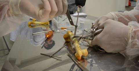 orthopedic surgery orthopedic surgery