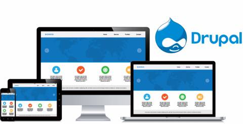 CRM Integrations for Drupal Site