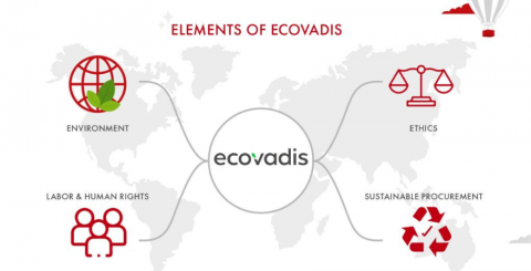EcoVadis Rating Criteria