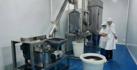 Food Powder Manufacturing Food Powder Manufacturing