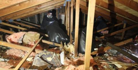 How to Secure Your Desert Home Against Invasive Wildlife