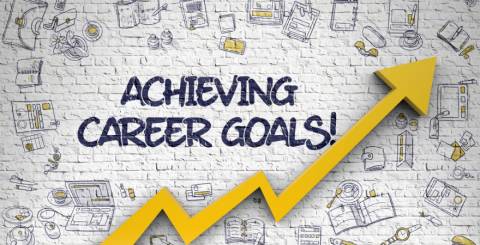 Career Guidance Career Help