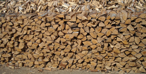 BIRCH. POPLAR. TAMARACK. PINE BIRCH. POPLAR. TAMARACK. PINE