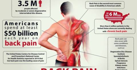 Lower Back Pain - Everything You Want to Know