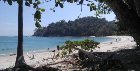 Manuel Antonio Beach