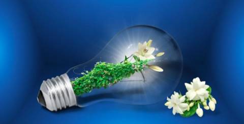 Eco-Friendly Events