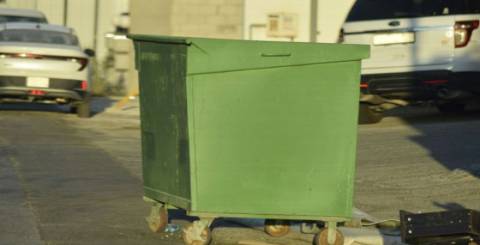 Skip Bins