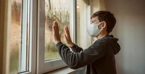 Windows Cleaning Services
