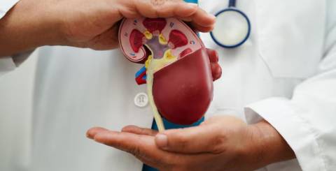 Best Urologist in India Best Urologist in India