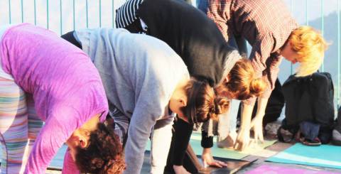 5 Effective Yoga Postures to Increase Your Brain Power 5 Effective Yoga Postures to Increase Your Brain Power