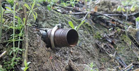 soil testing brisbane soil testing brisbane