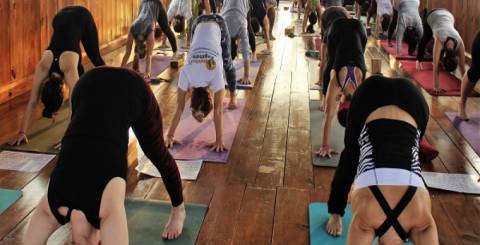 Yoga Teacher Training in Rishikesh India 
