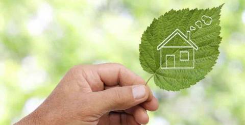 Smart Ideas for Saving Money While Helping the Environment Smart Ideas for Saving Money While Helping the Environment