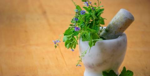 anti-aging herbs Anti-Aging Herbs For A Younger Skin