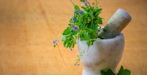 Anti-Aging Herbs For A Younger Skin