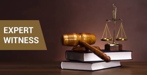 Expert Witness Service