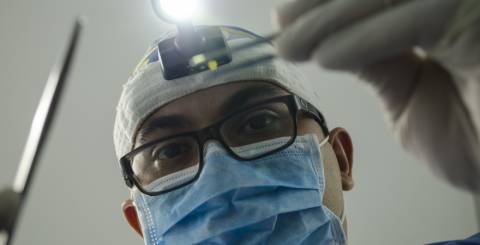 dentist dentist