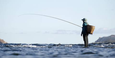 fishing fishing