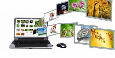 image websites image websites