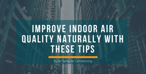 5 Tips to Improve Indoor Air Quality Naturally