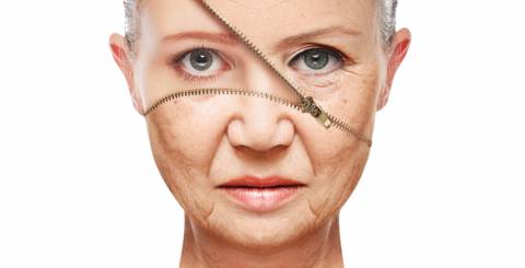 Staggering Facts About Anti Wrinkle Cream You Need To Know
