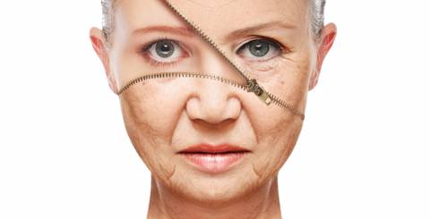 The Beauty Insiders Staggering Facts About Anti Wrinkle Cream You Need To Know