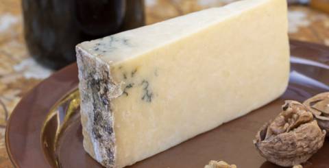 Moldy Cheese: 7 Benefits of Gourmet Product Moldy Cheese: 7 Benefits of Gourmet Product