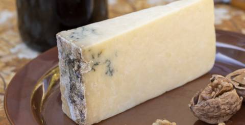 Moldy Cheese: 7 Benefits of Gourmet Product