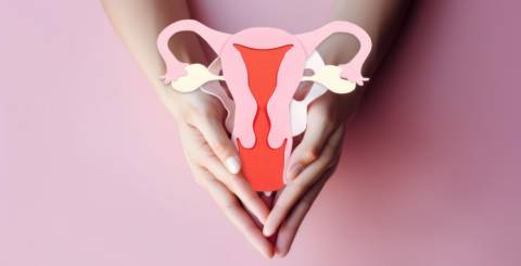 Uterine Fibroids: Everything You Need to Know About This Common Condition