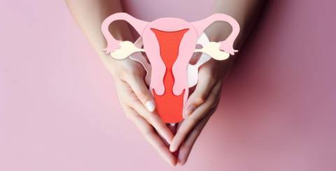 Uterine Fibroids: Everything You Need to Know About This Common Condition Uterine Fibroids: Everything You Need to Know About This Common Condition