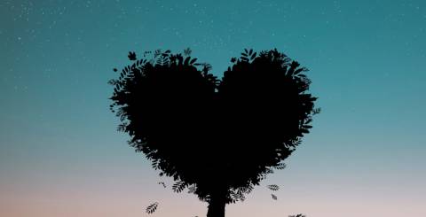Love in life Let Love Flow into Your Life
