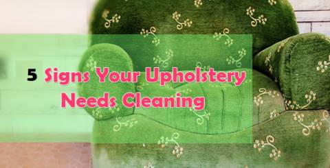 5 signs that you need Professional Upholstery Cleaning Services