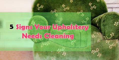 How do You Know if Your Upholstery Needs Cleaning? 5 signs that you need Professional Upholstery Cleaning Services
