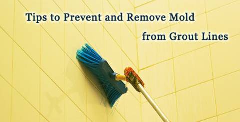 Best Tips To Prevent Mould Growth On Your Tiles Best Tips To Prevent Mould Growth On Your Tiles