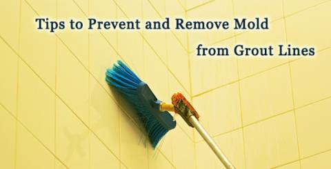 Best Tips To Prevent Mould Growth On Your Tiles