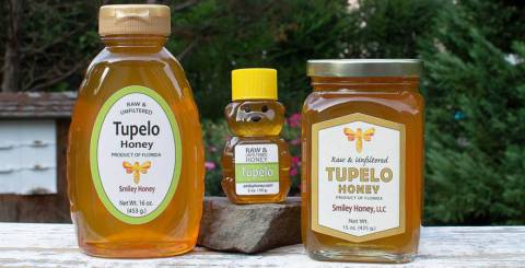 Interesting Things to Know About Tupelo Honey 