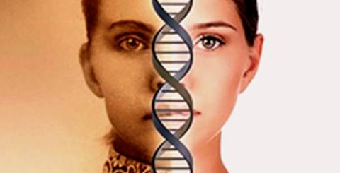 DNA Genealogy