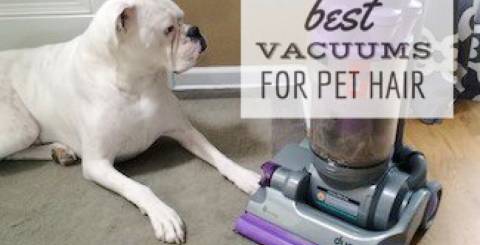 best vacuums for dog hair