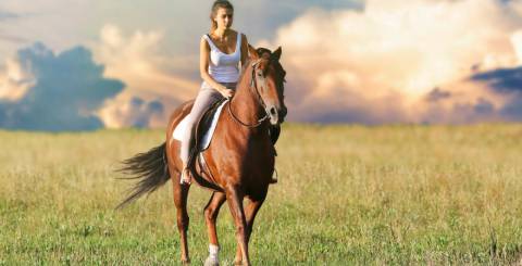 Novice Horse Rider? Experience More Comfort and Safety on your Next Ride