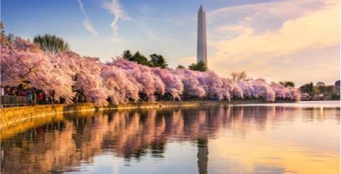 Free Things To Do In Washington DC