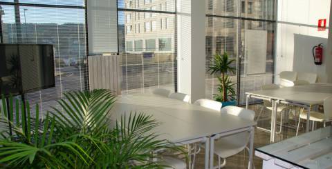 Why Interior Designers Wax Poetic about Roller blinds Why Interior Designers Wax Poetic about Roller blinds