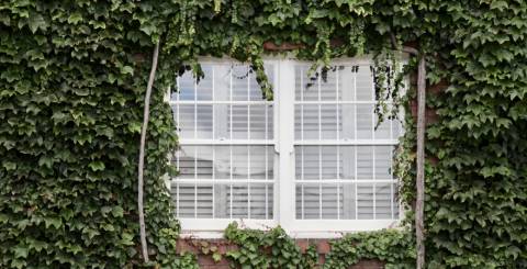Reasons Why You Need to Replace Your Blinds with New Ones Reasons Why You Need to Replace Your Blinds with New Ones