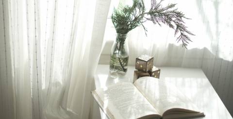 Curtains vs Blinds: Advantages & Disadvantages Curtains vs Blinds: Advantages & Disadvantages