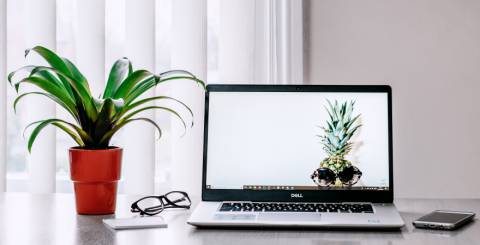 How to Professionally Style You’re Windows How to Professionally Style You’re Windows