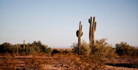 Why Arizona is One of the Best Places to Live