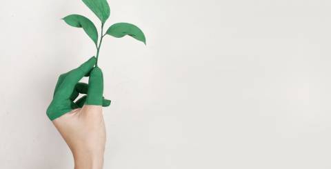Reusable Silicone Bags: How Eco-Friendly Products Benefit Us? Reusable Silicone Bags: How Eco-Friendly Products Benefit Us?