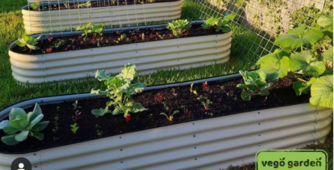 large raised garden beds large raised garden beds
